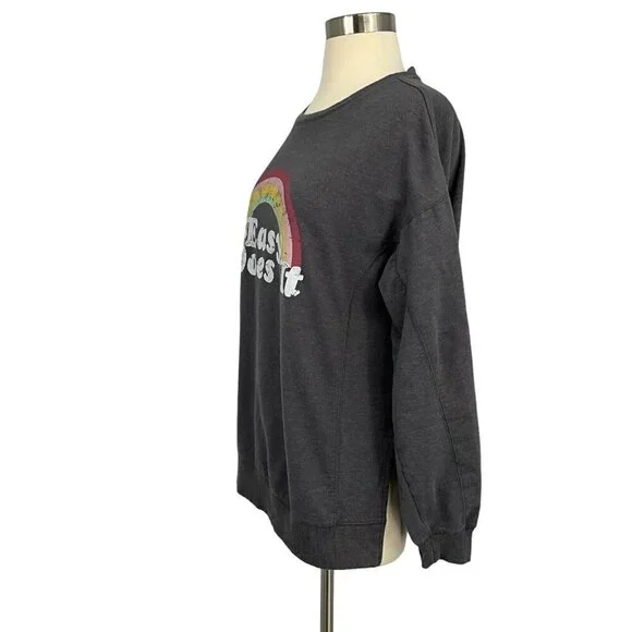 Wildfox Size M Easy Does It Sweatshirt Rainbow Grey Long Sleeve Comfort Women's - Picture 5 of 10